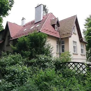 Adler Polska